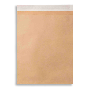 Flat Self seal Paper Mailer 7x10”